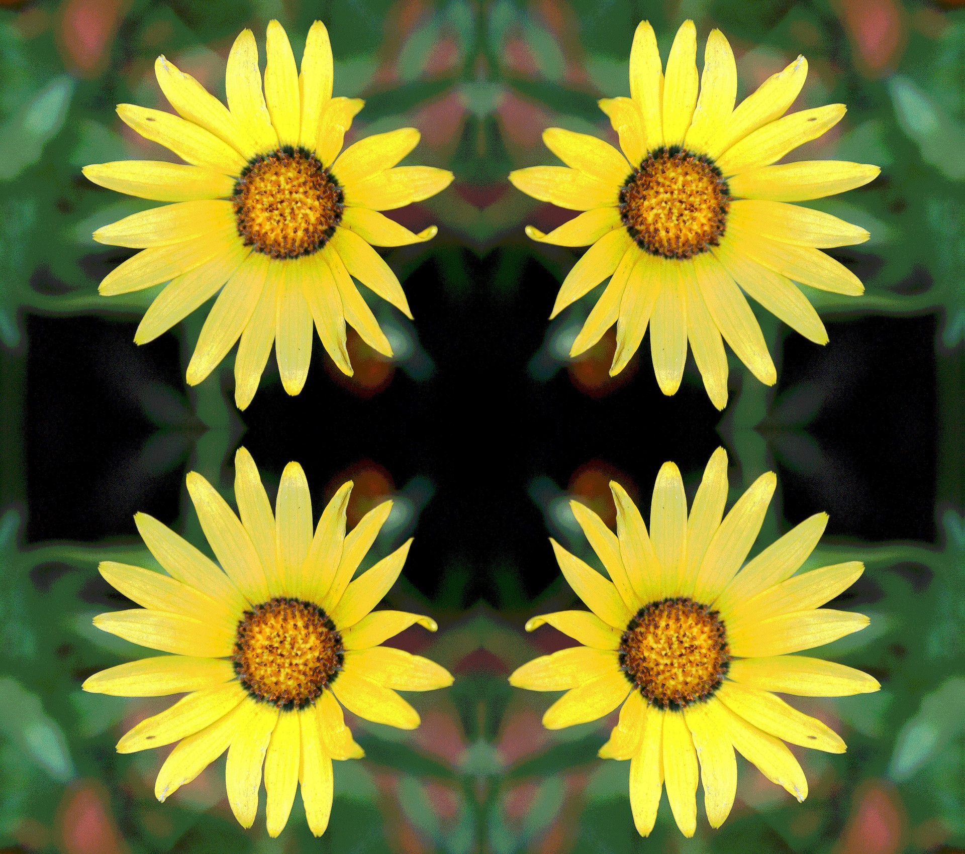 flowers foursome yellow free photo
