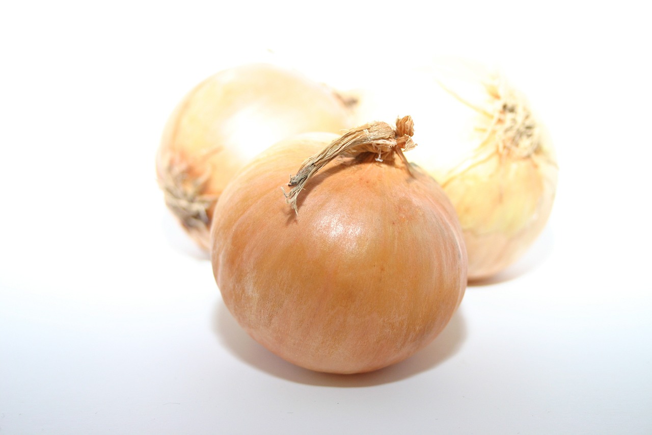 yellow onion onion grönsakser free photo