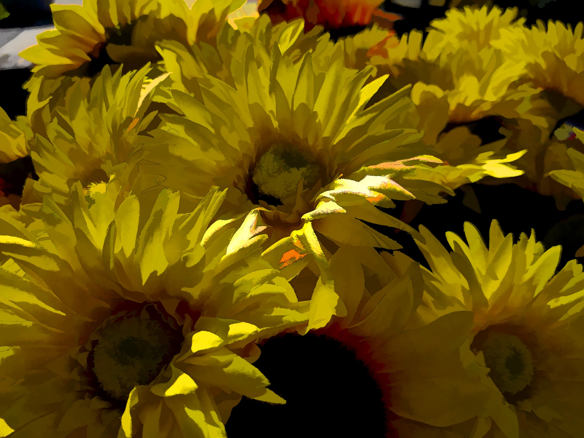 sunflowers daisies chrysanthemum free photo