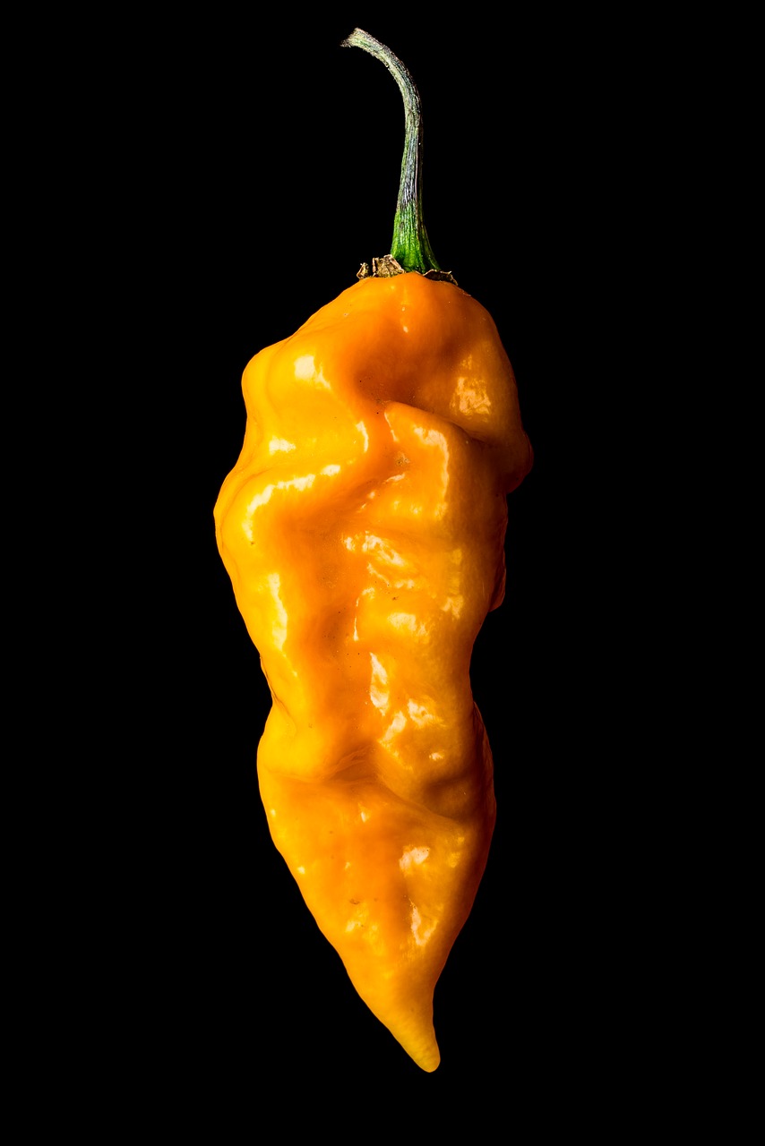 yellow pepper  isolated  on black background free photo