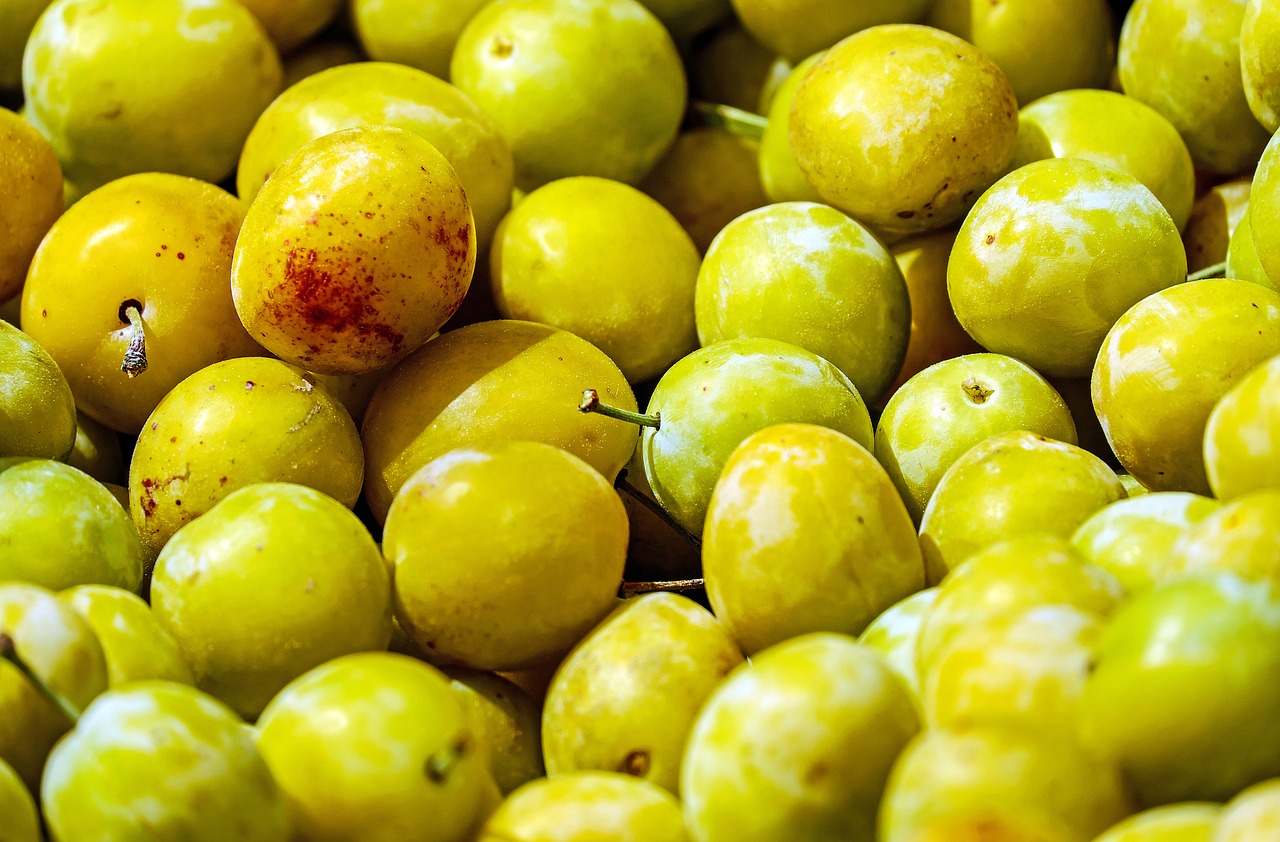 yellow plums fruit stone fruit free photo