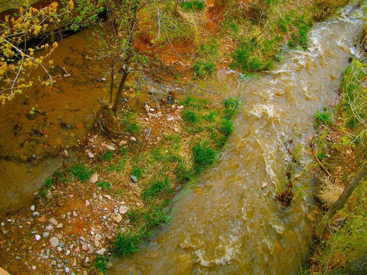 river stream creek free photo