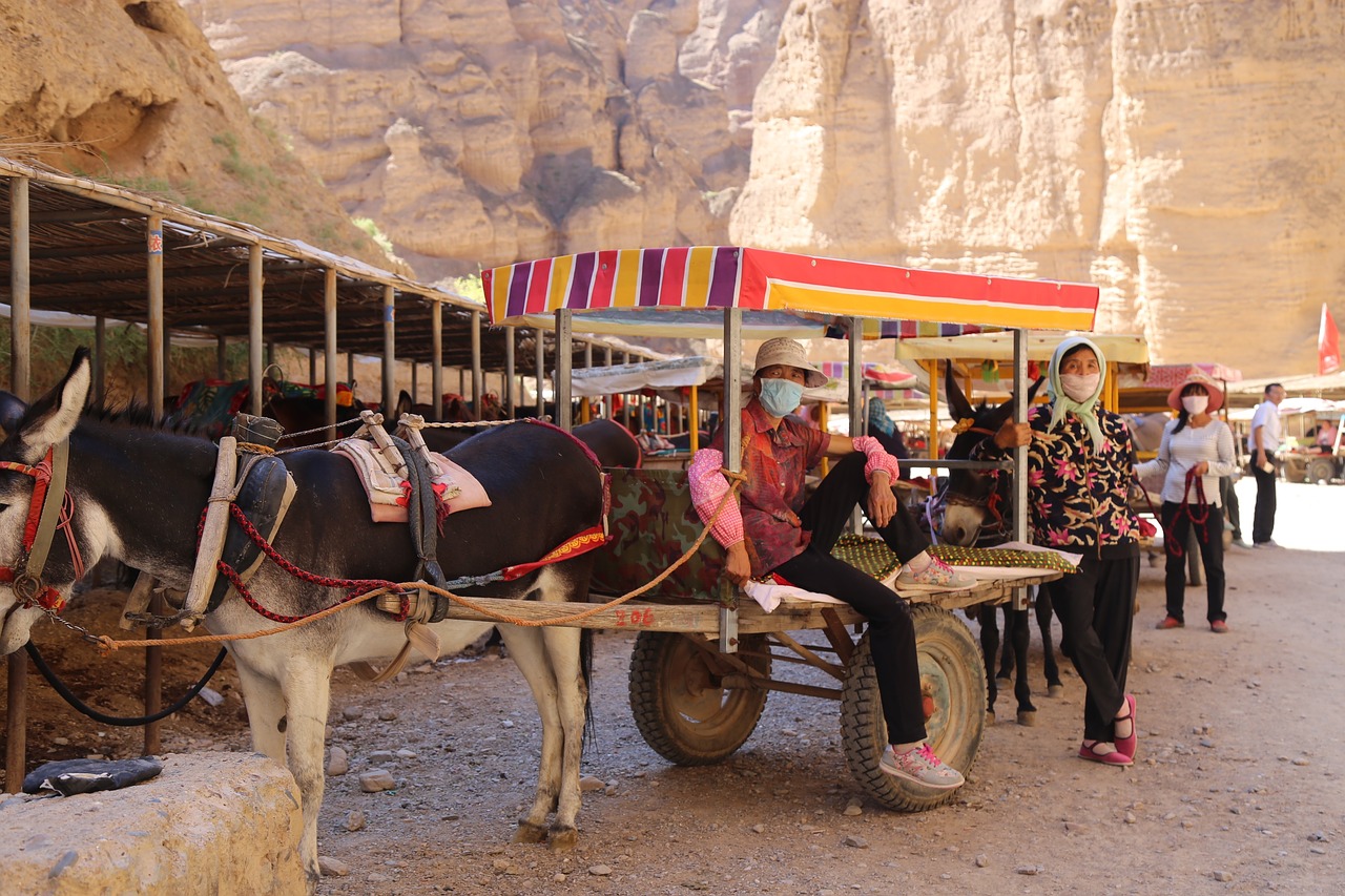 yellow river forest  china  lanzhou free photo