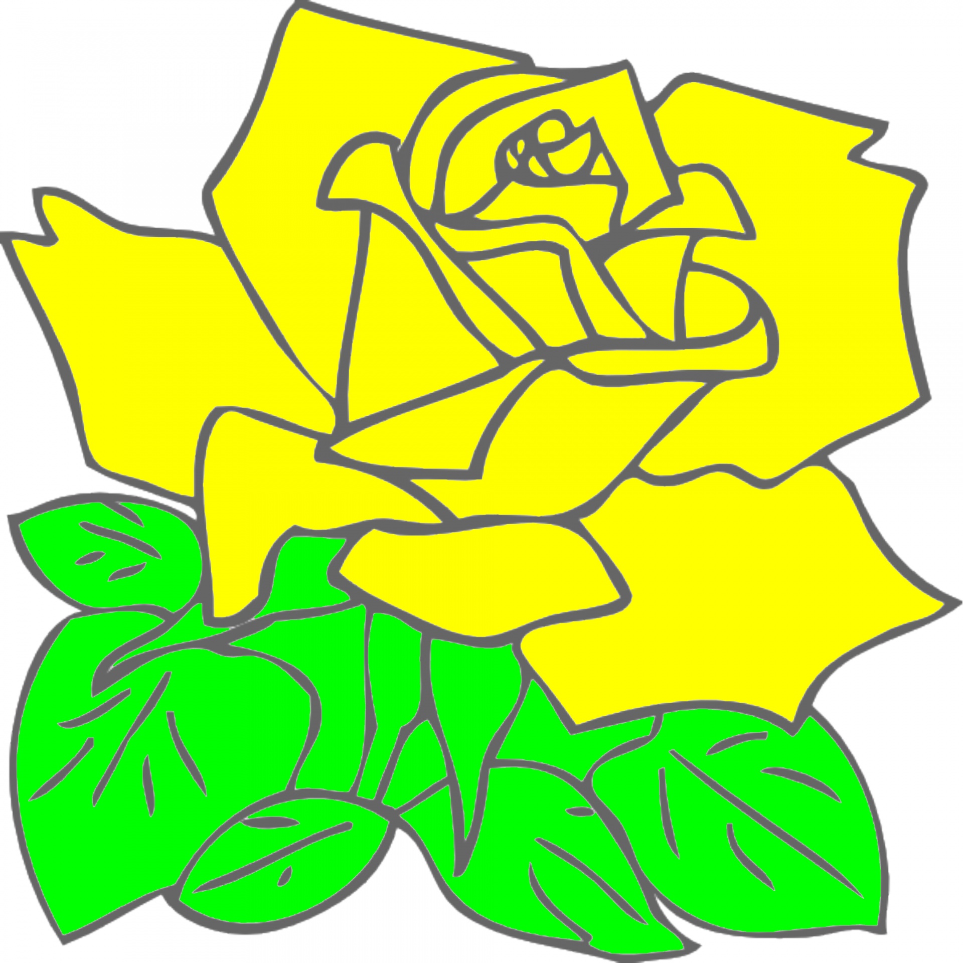 drawing yellow rose free photo