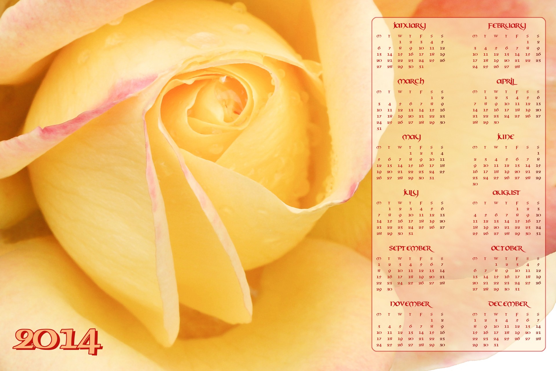 2014 calendar 2014 calendar free photo
