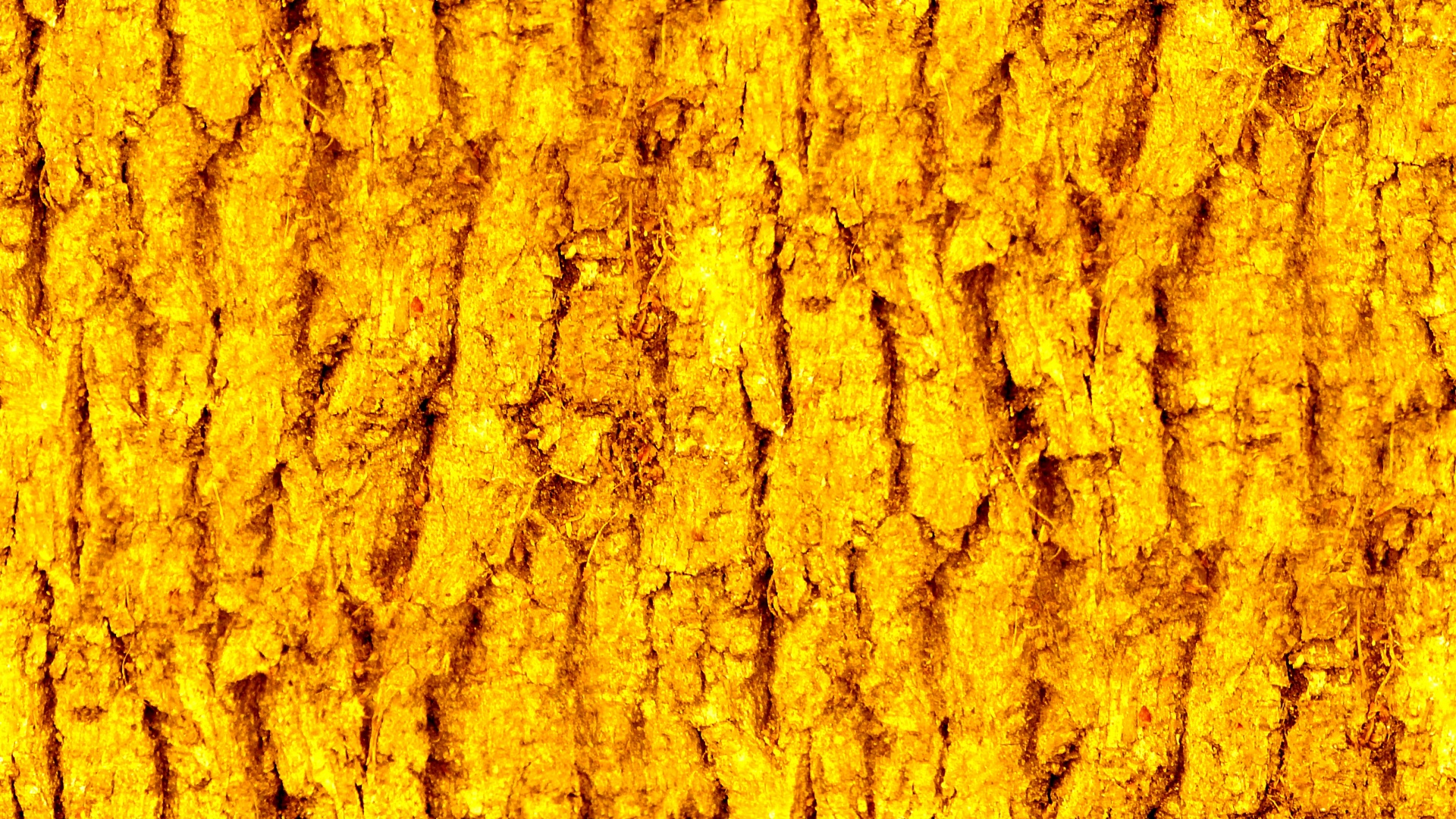 yellow orange wallpaper free photo