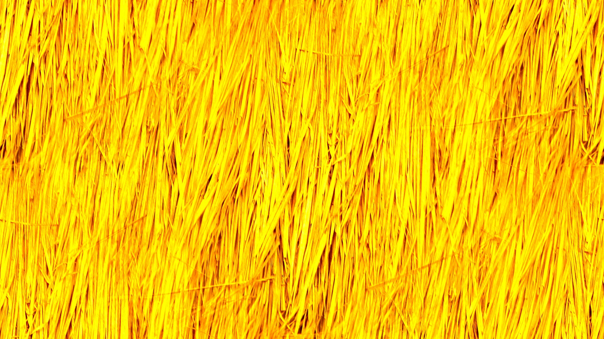 Wheat yellow rust фото 109