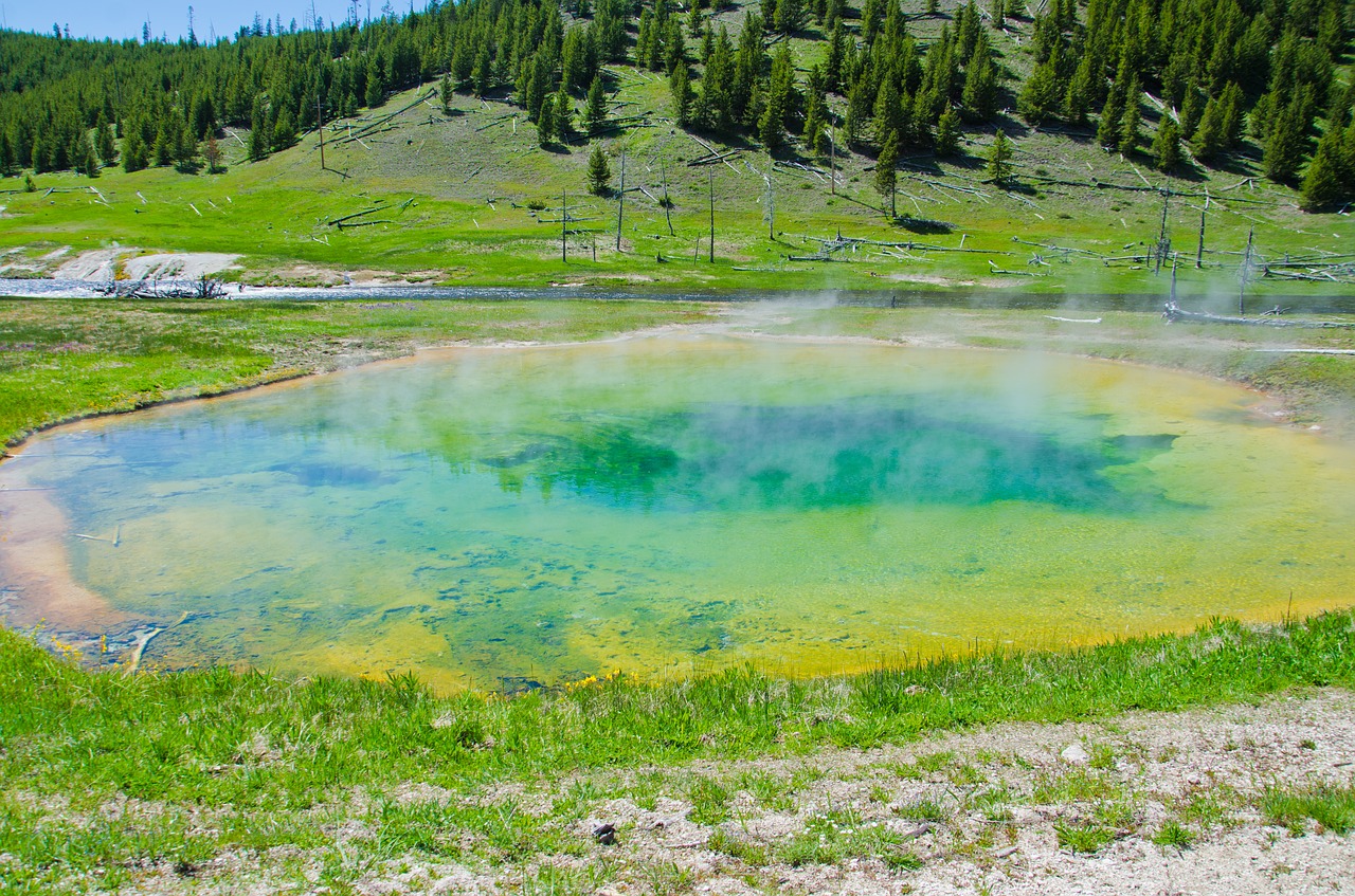 yellow stone  scenic  nature free photo