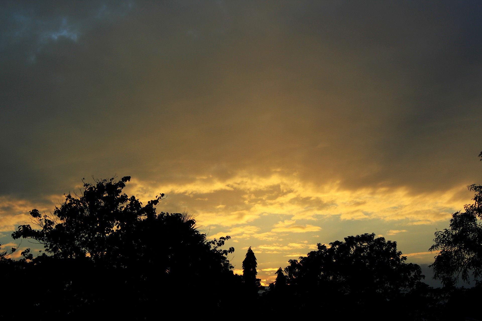 yellow sunset sunset clouds free photo