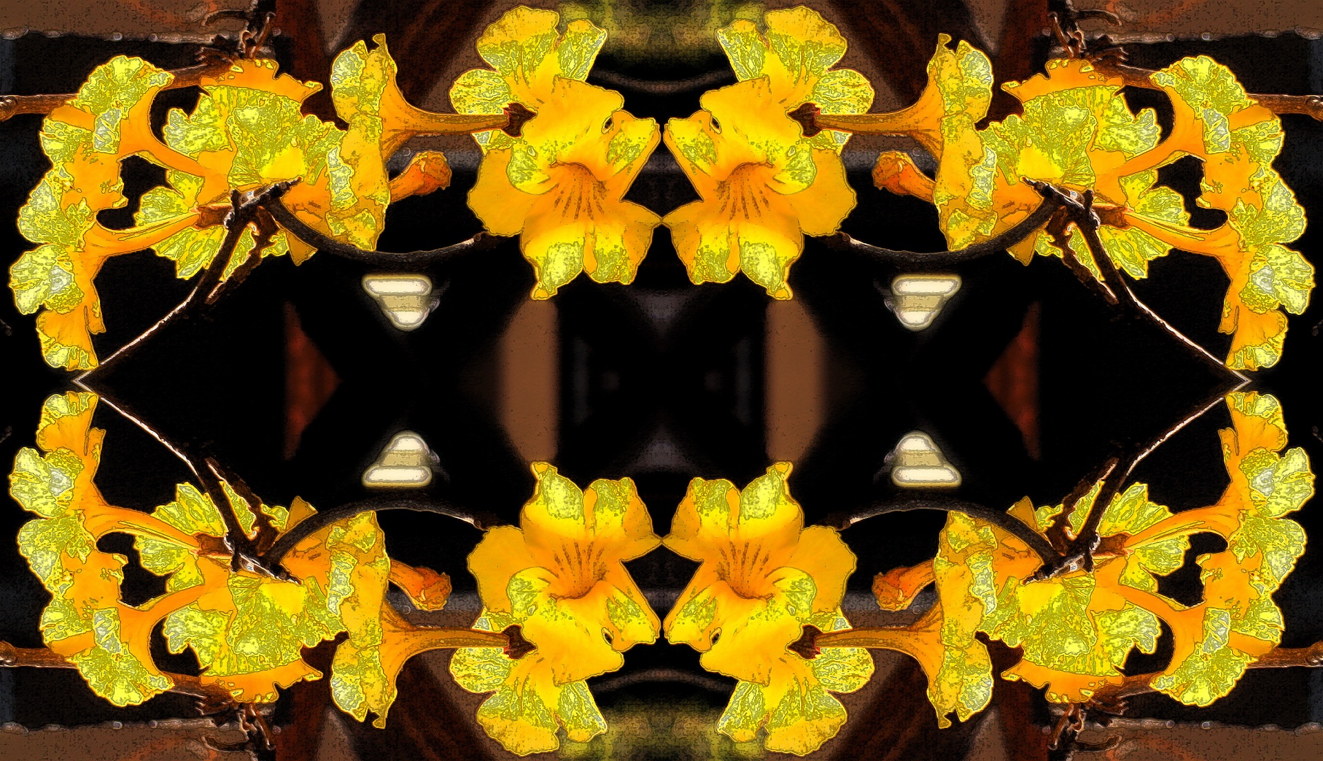 flowers yellow trumpet shaped free photo