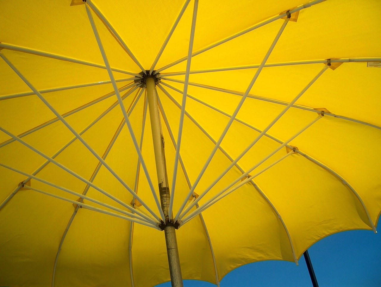 yellow umbrella open bright free photo