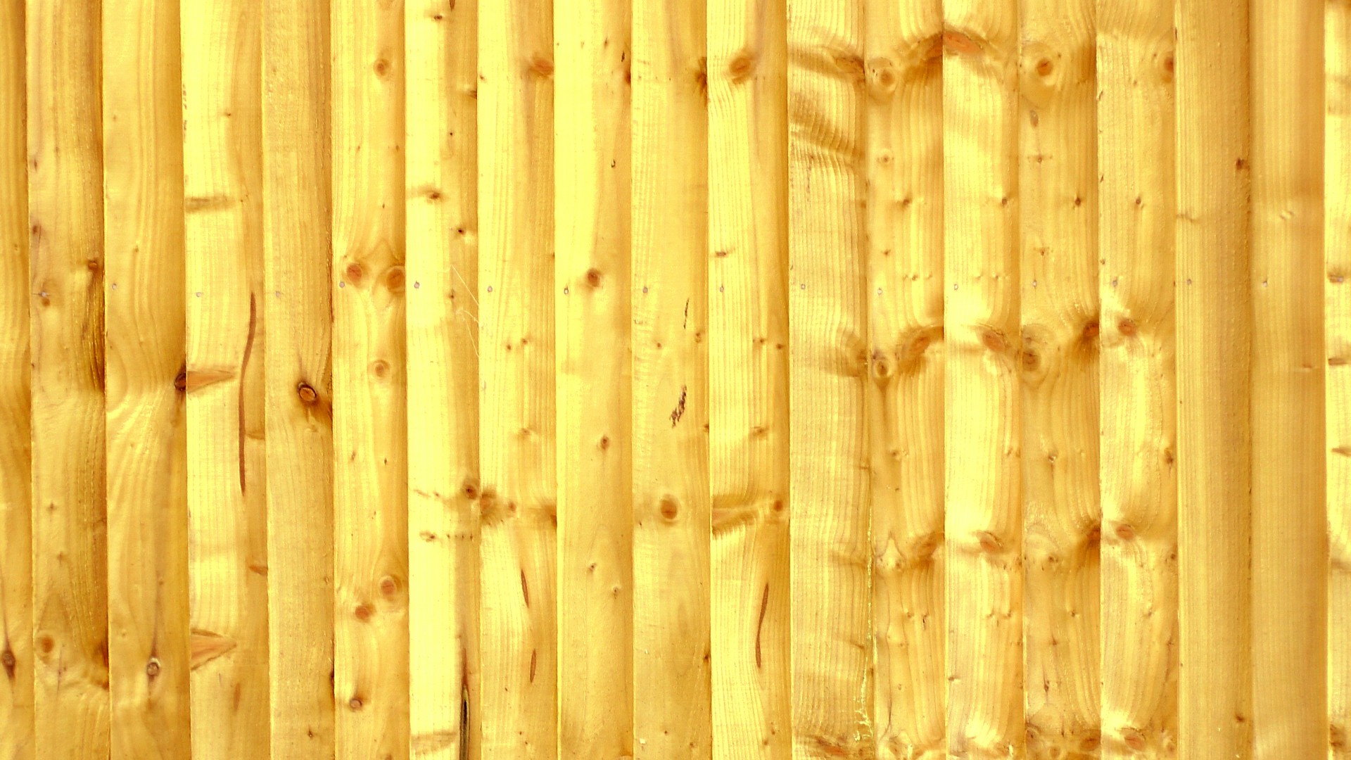 yellow background web free photo