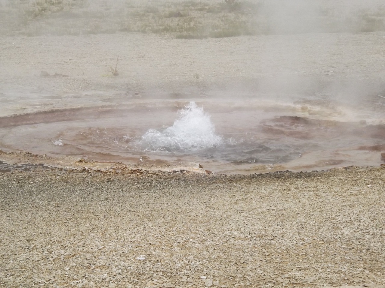 yellowstone wyoming national free photo