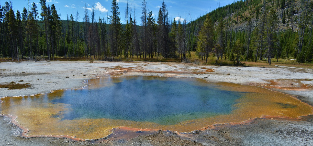 yellowstone national park wyoming free photo