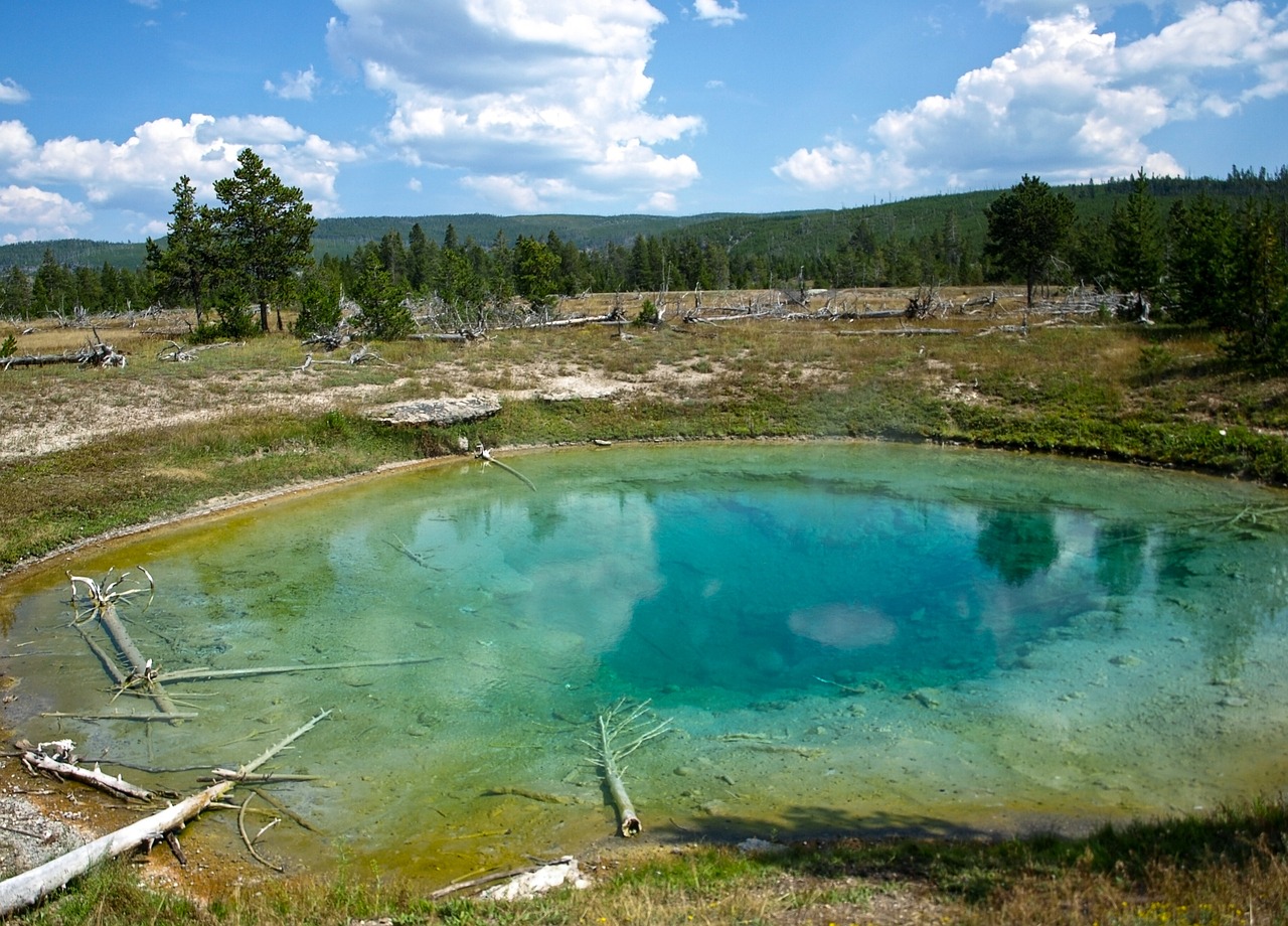 yellowstone wyoming national free photo