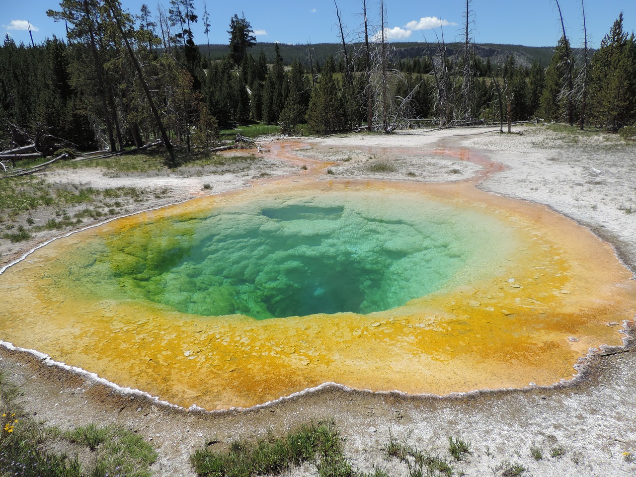 yellowstone hot spring geothermal free photo