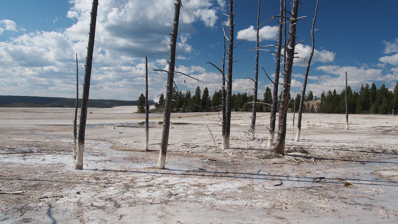 yellowstone national park free photo