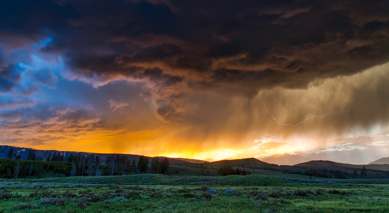 yellowstone national park wyoming free photo