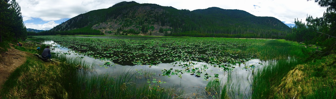 yellowstone national park free photo