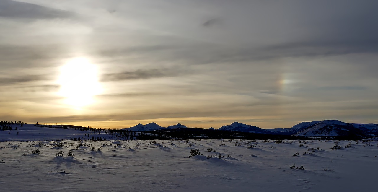 yellowstone national park wyoming free photo