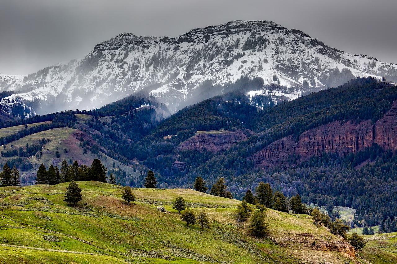 yellowstone national park wyoming free photo