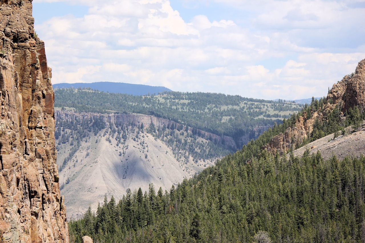 yellowstone nationalpark landscape free photo