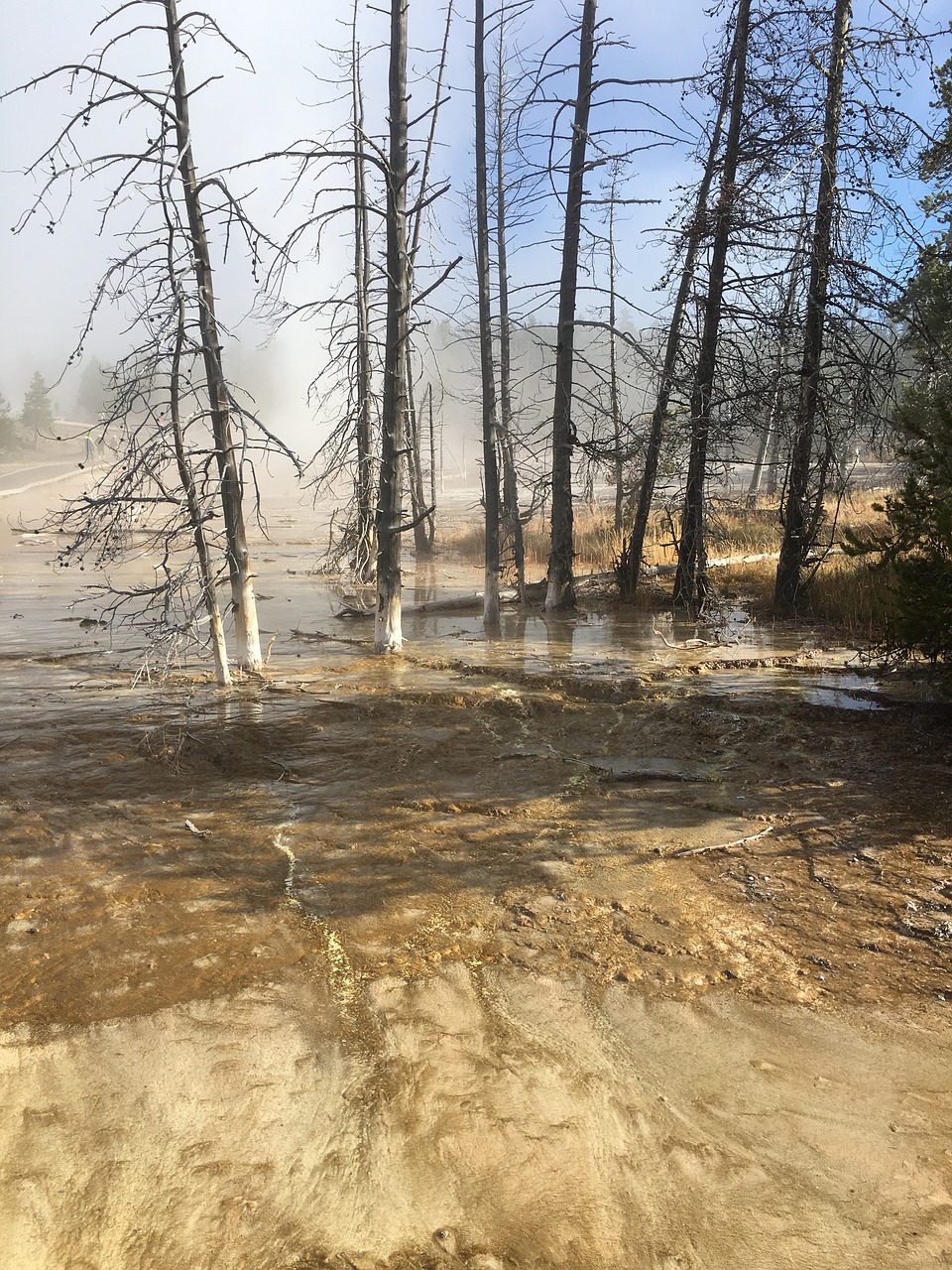 yellowstone park national free photo