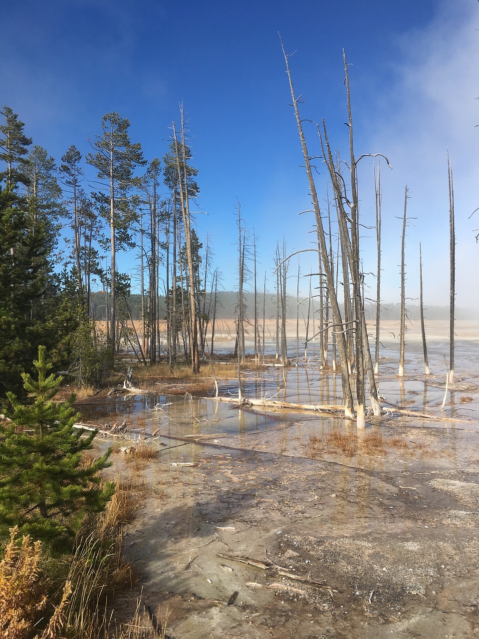 yellowstone national park free photo