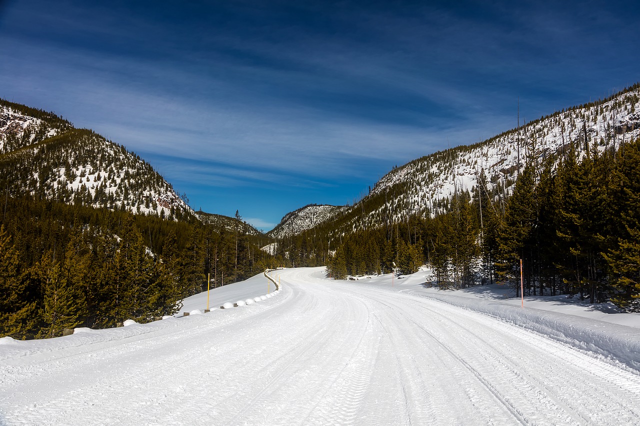 yellowstone national park travel free photo