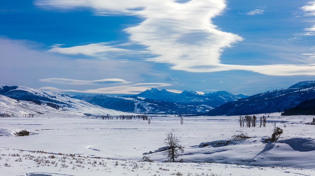 yellowstone national park travel free photo