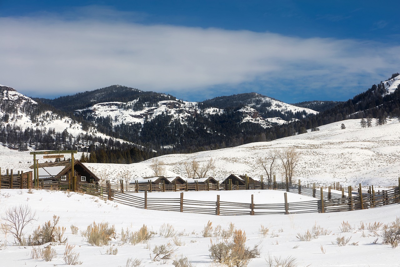 yellowstone national park travel free photo