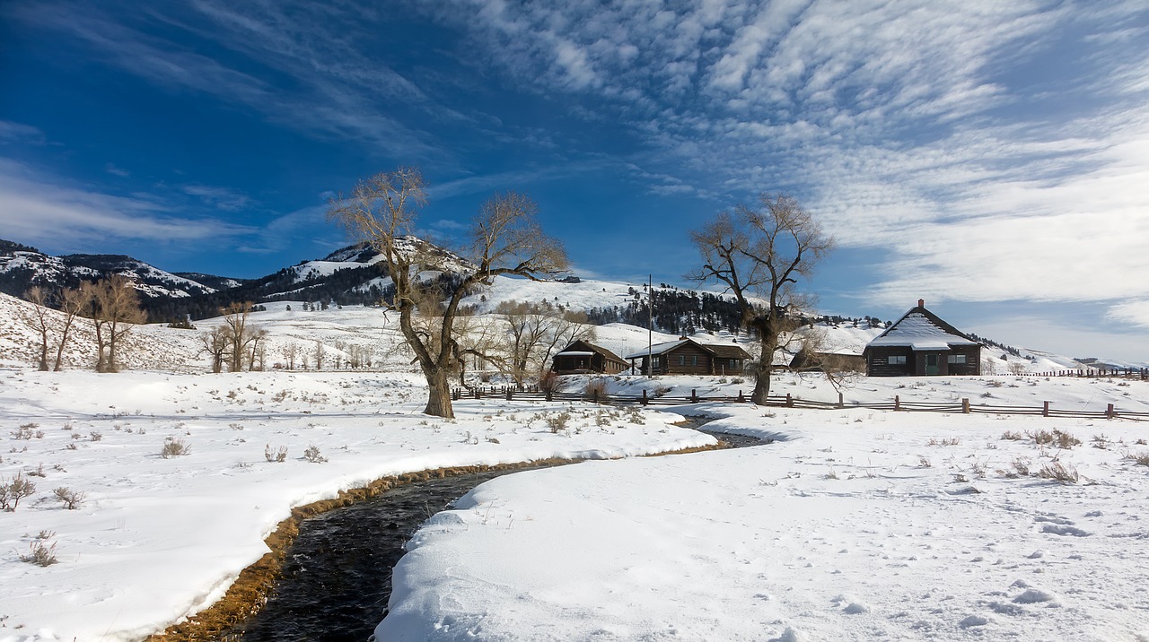 yellowstone national park travel free photo