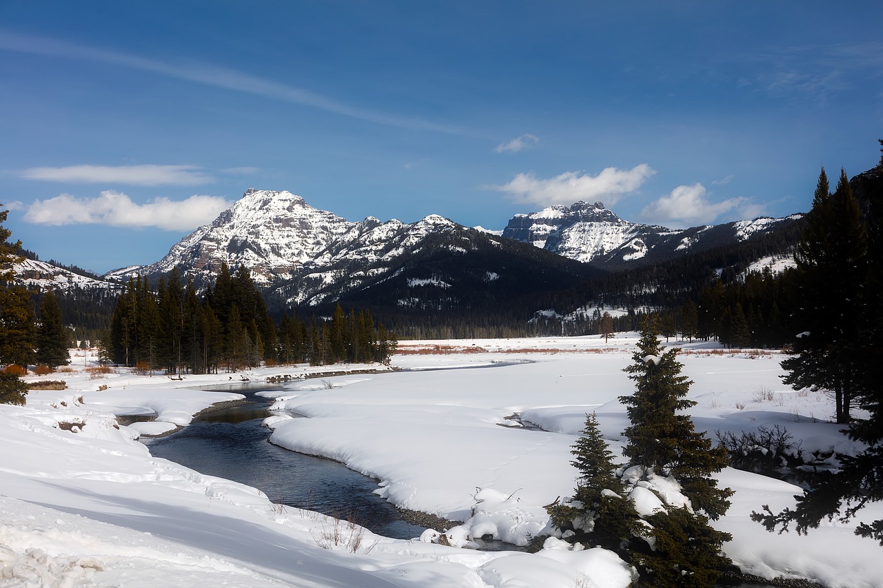 yellowstone national park travel free photo