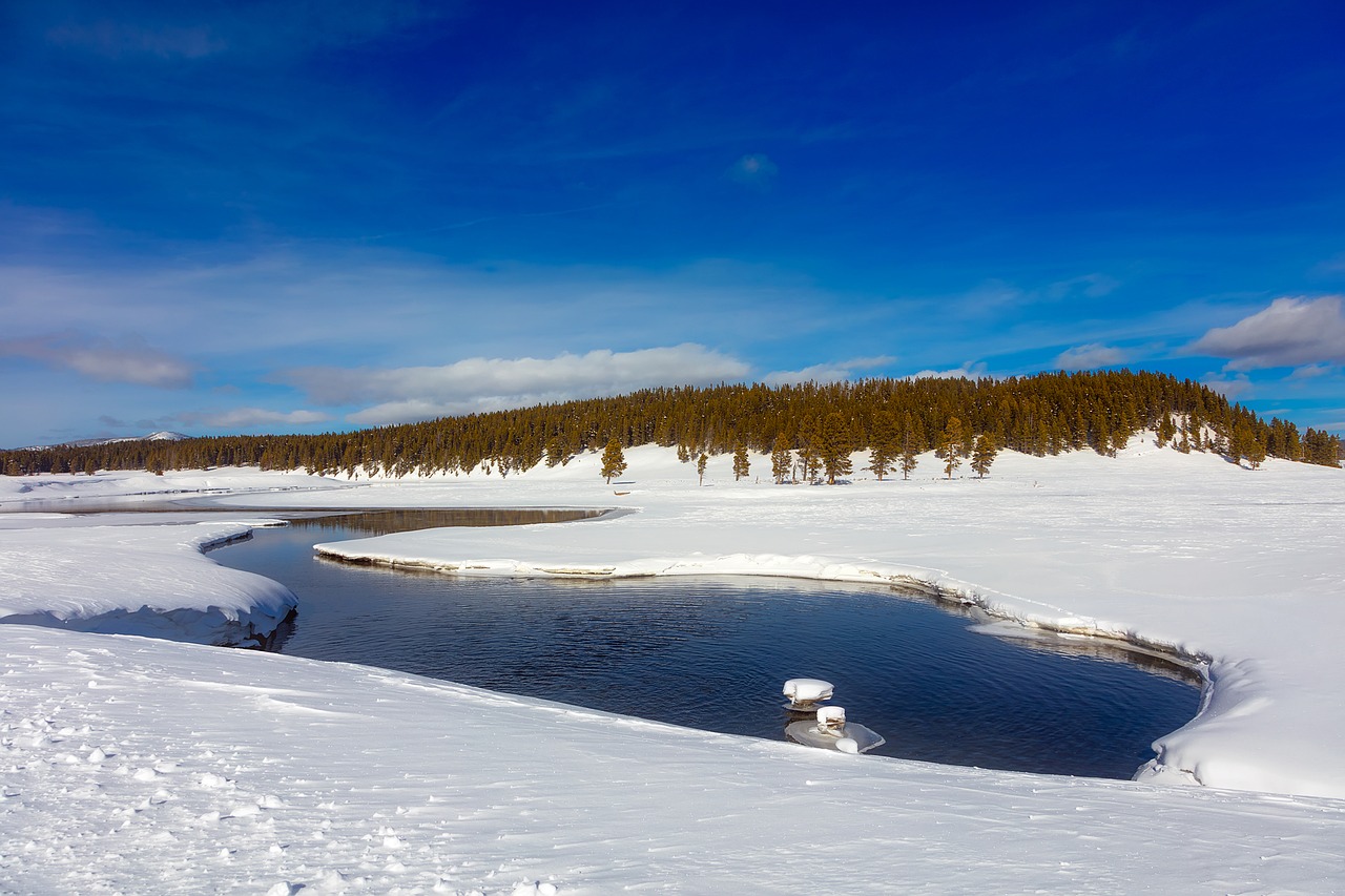 yellowstone national park travel free photo