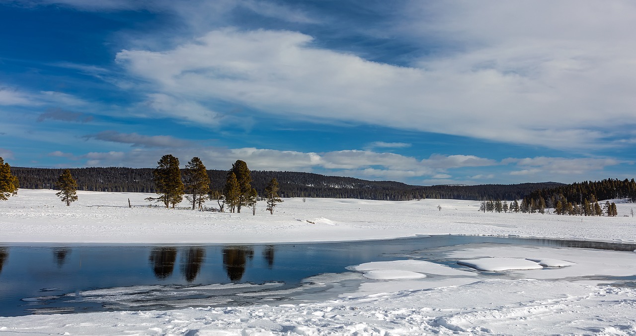 yellowstone national park travel free photo