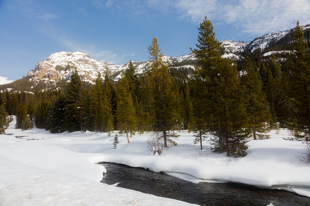 yellowstone national park travel free photo