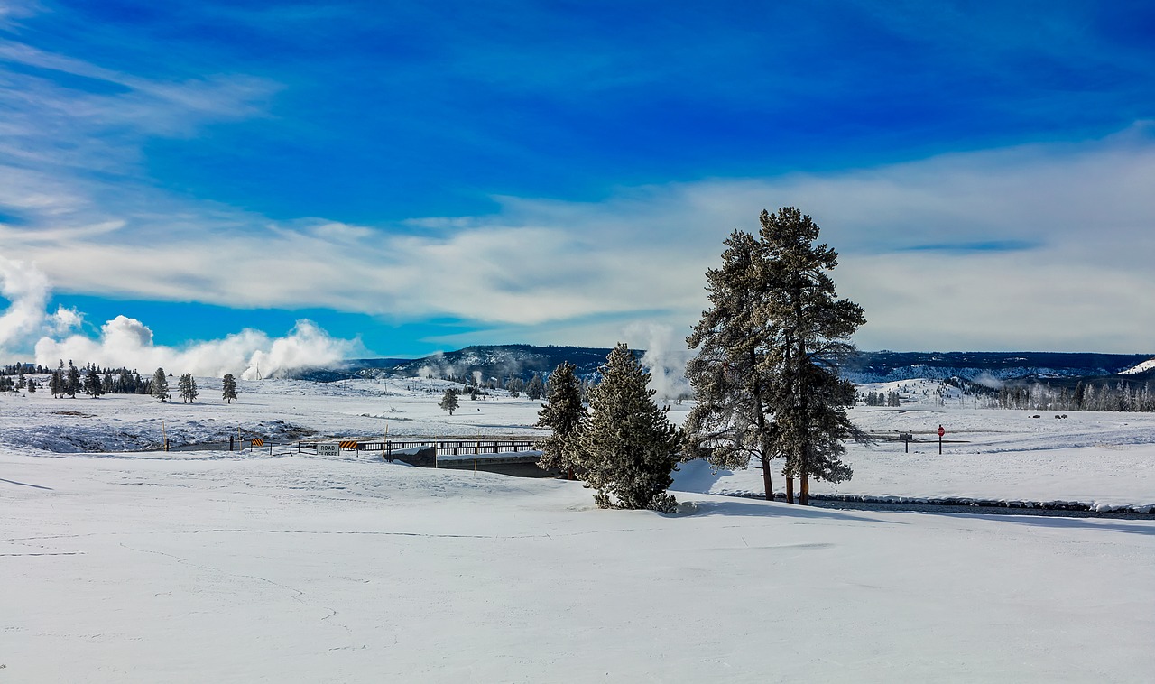 yellowstone national park wyoming free photo