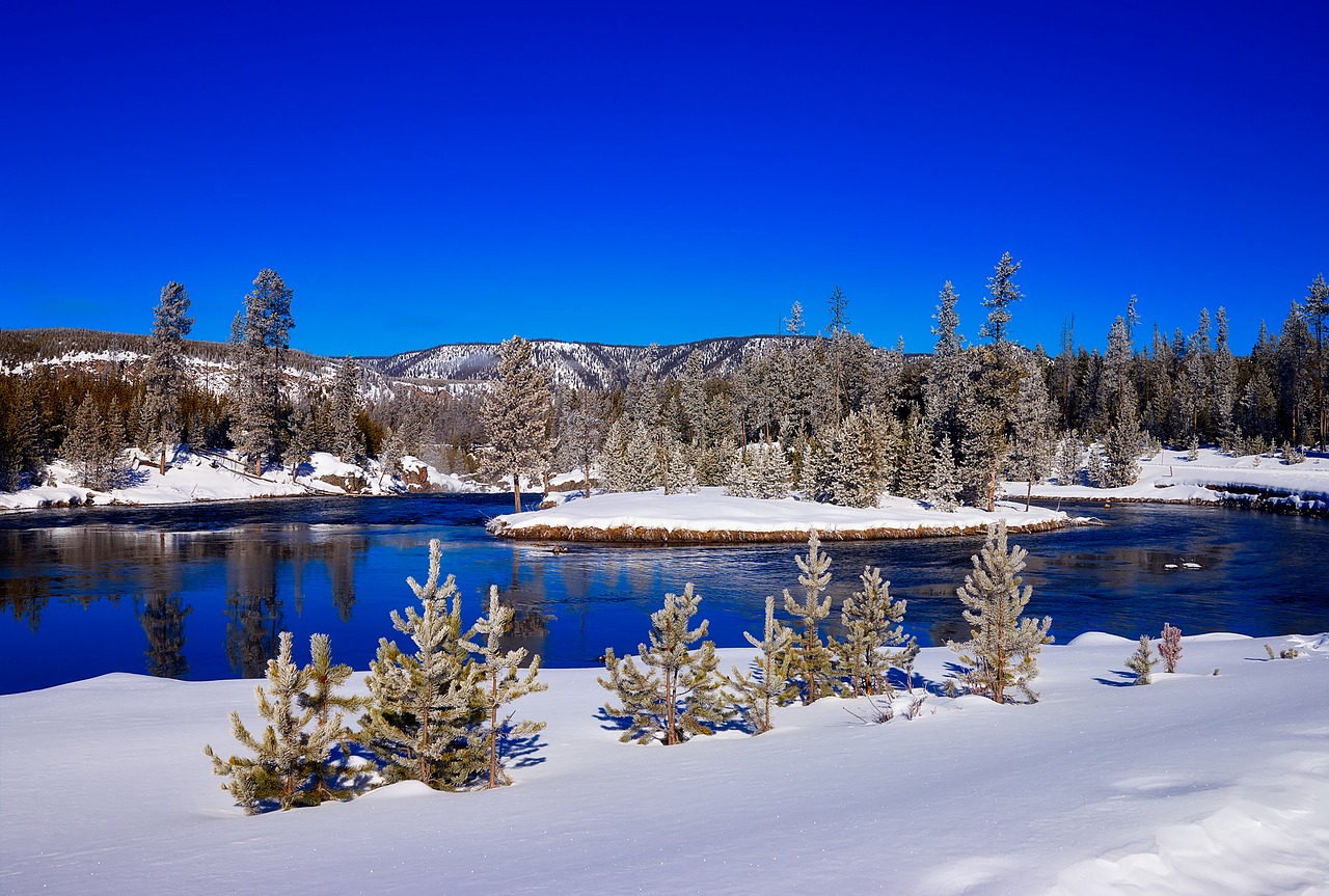 yellowstone national park wyoming free photo