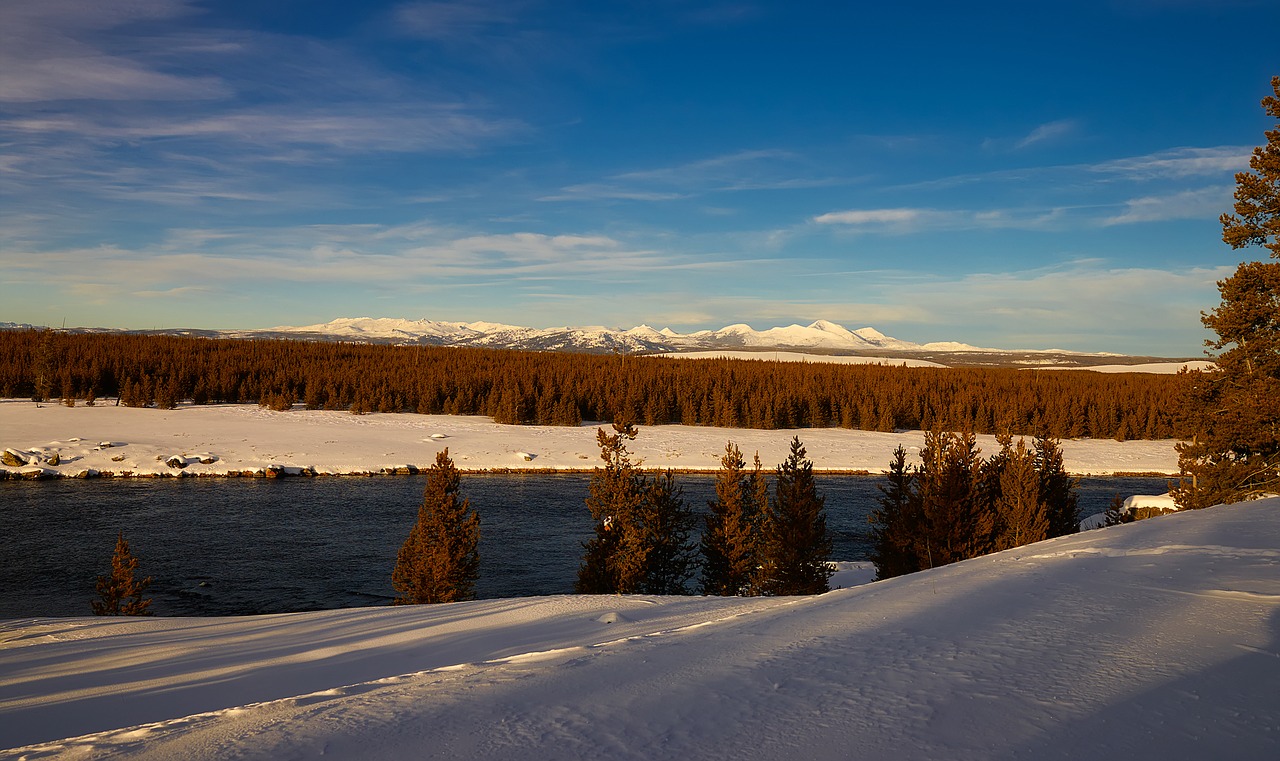 yellowstone national park wyoming free photo