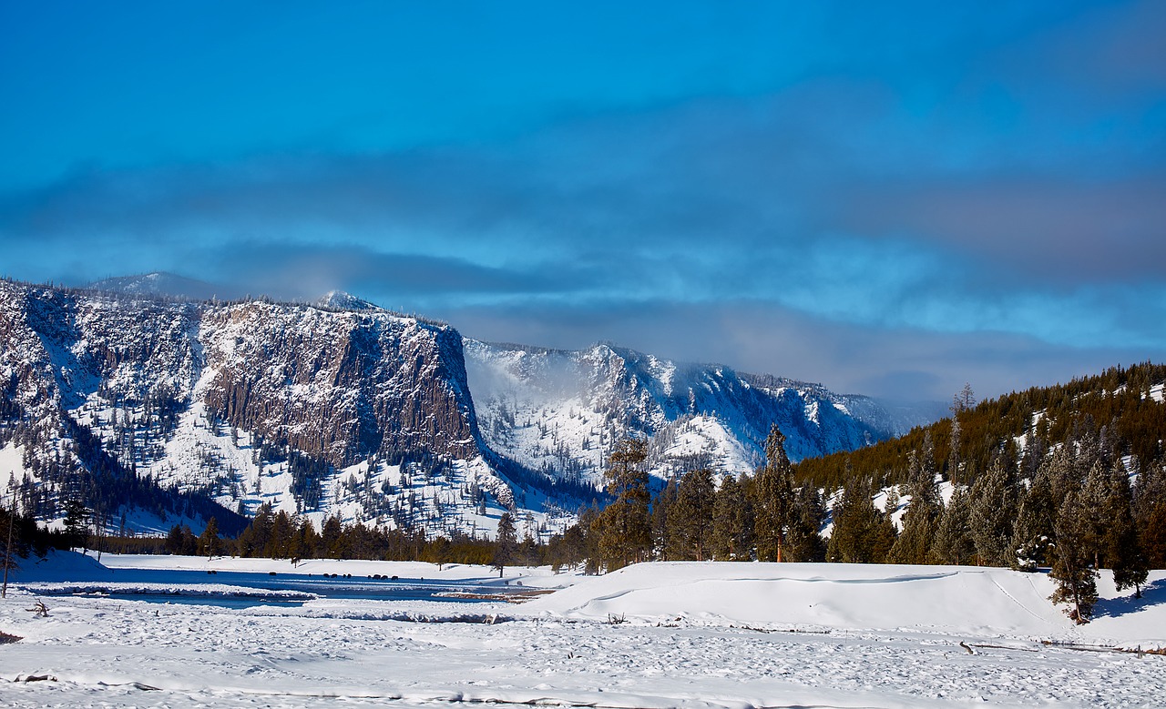 yellowstone national park wyoming free photo