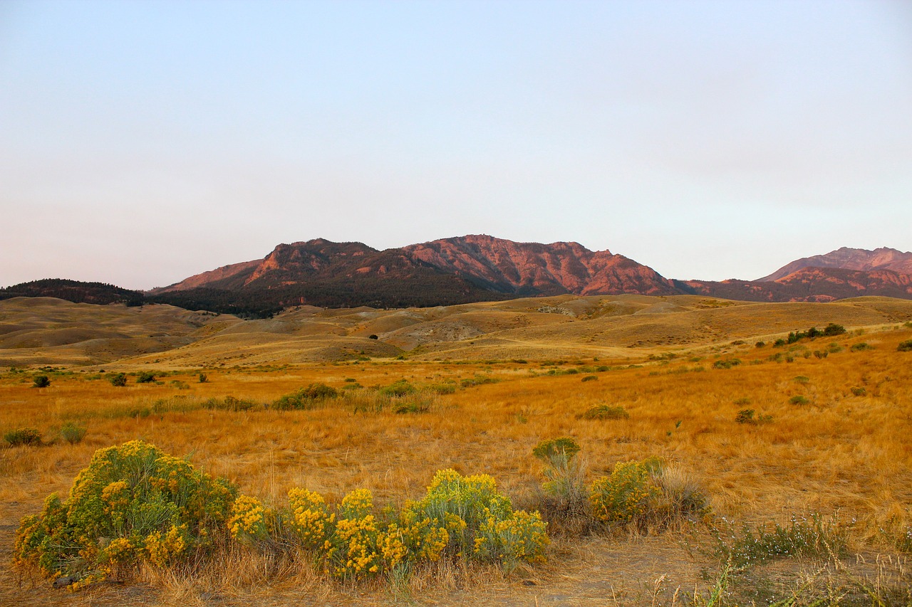 yellowstone scenery field free photo