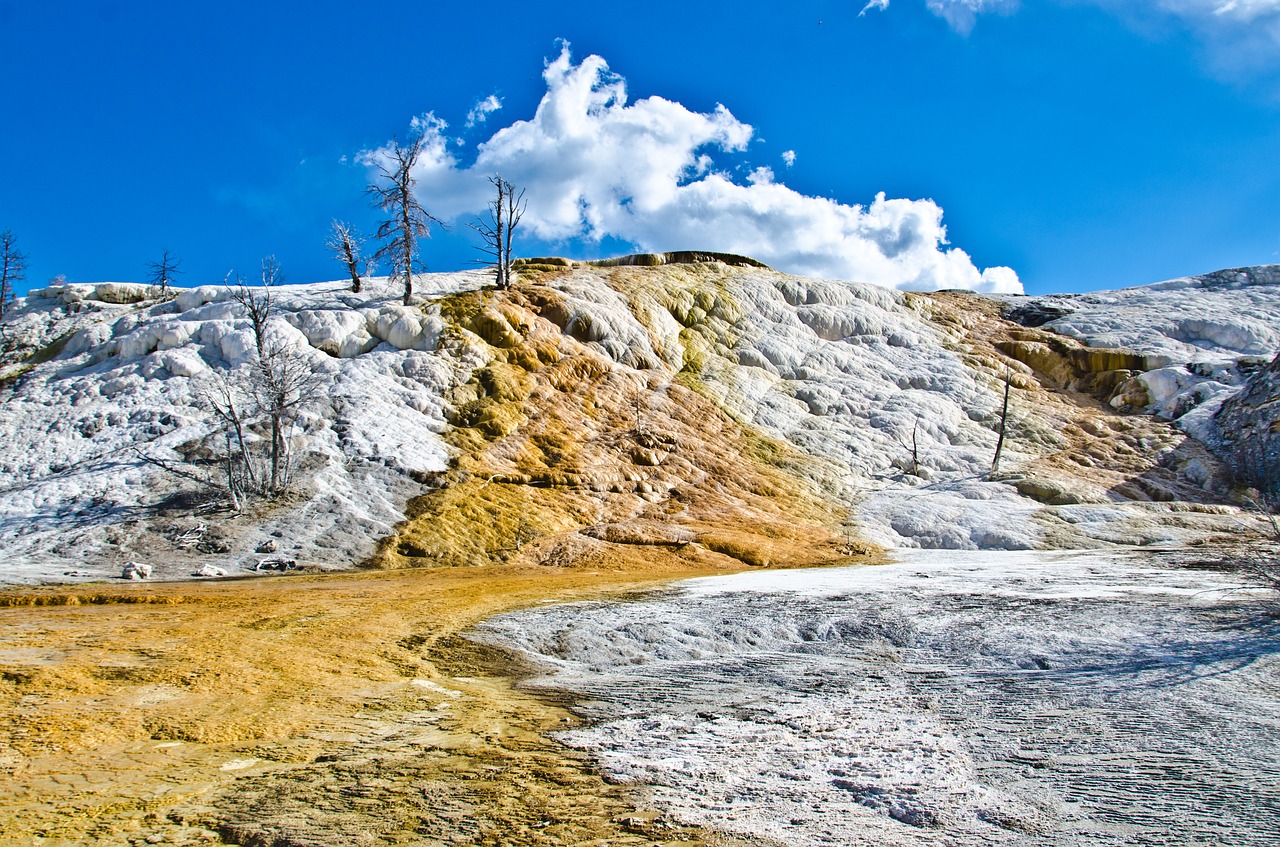 yellowstone  mammoth hot springs  scenic free photo
