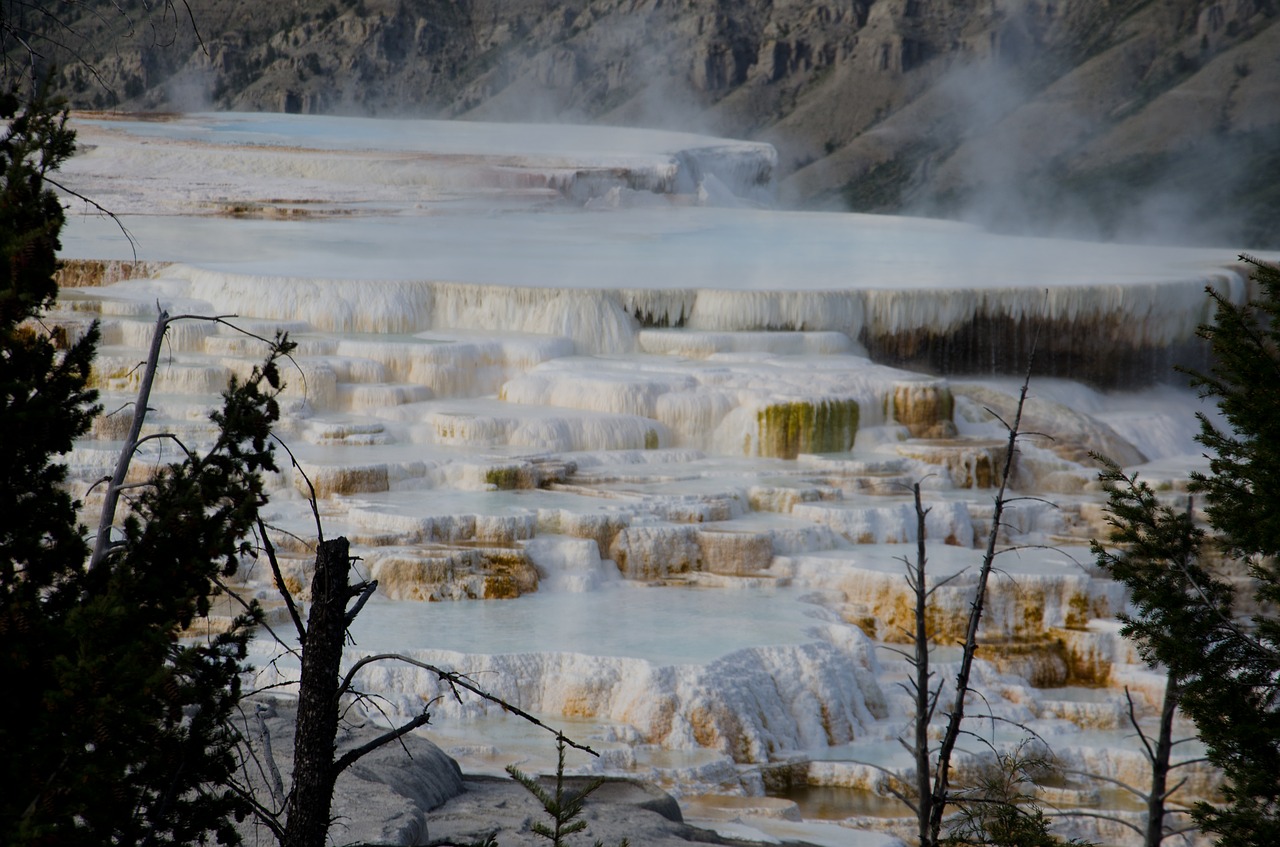 yellowstone  scenic  mammoth hot springs free photo