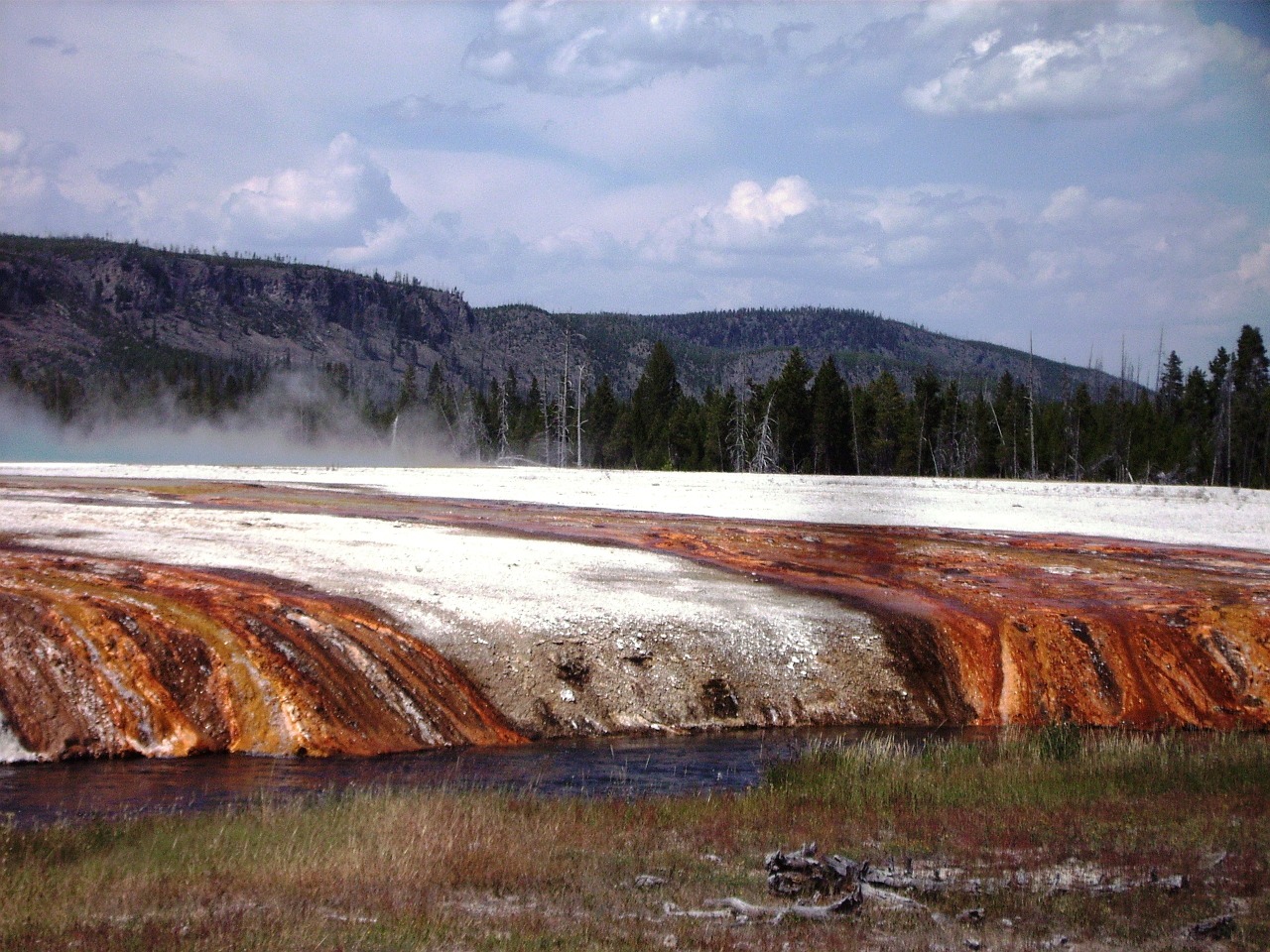 yellowstone national park geyser free photo