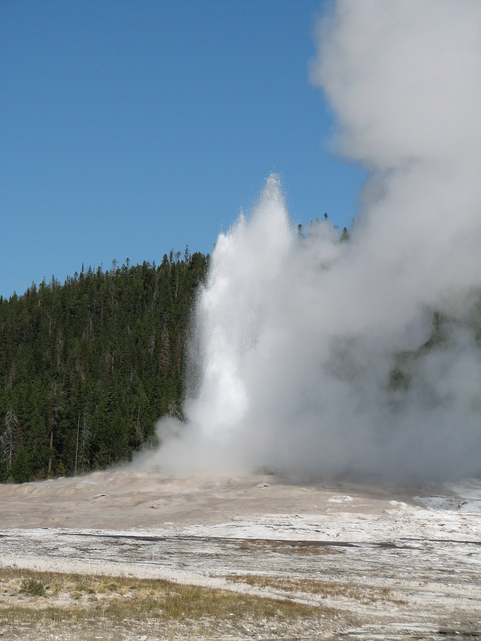 yellowstone geyser park free photo