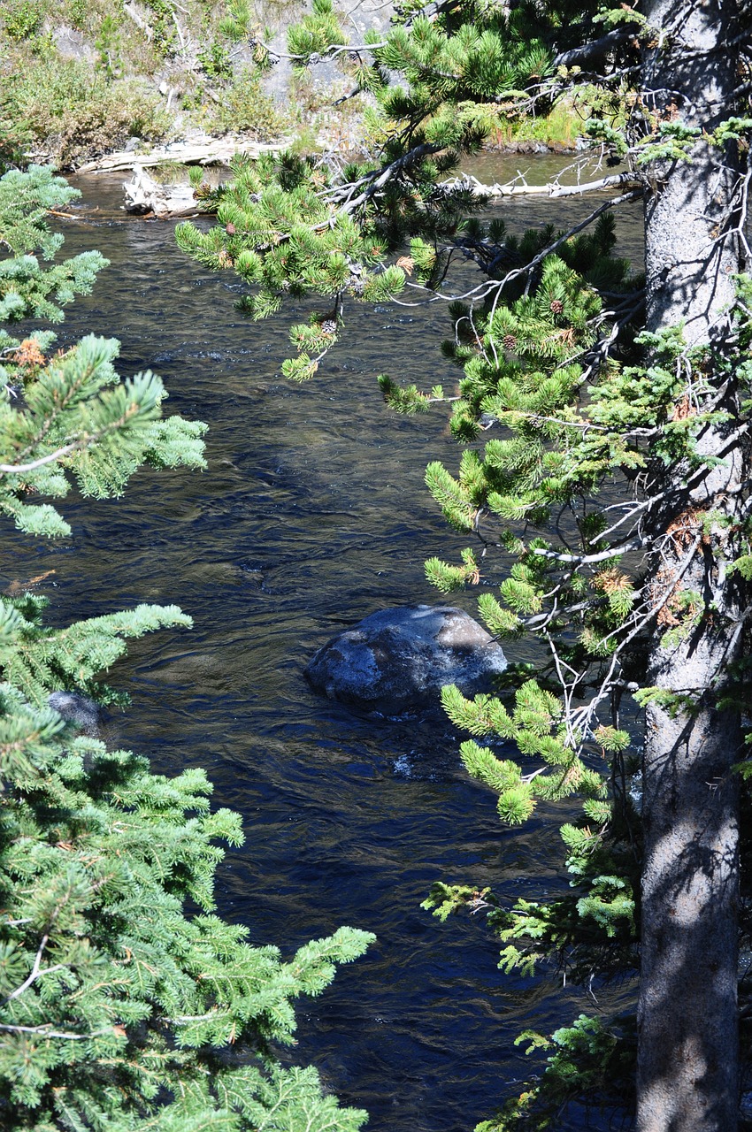 yellowstone national park free photo