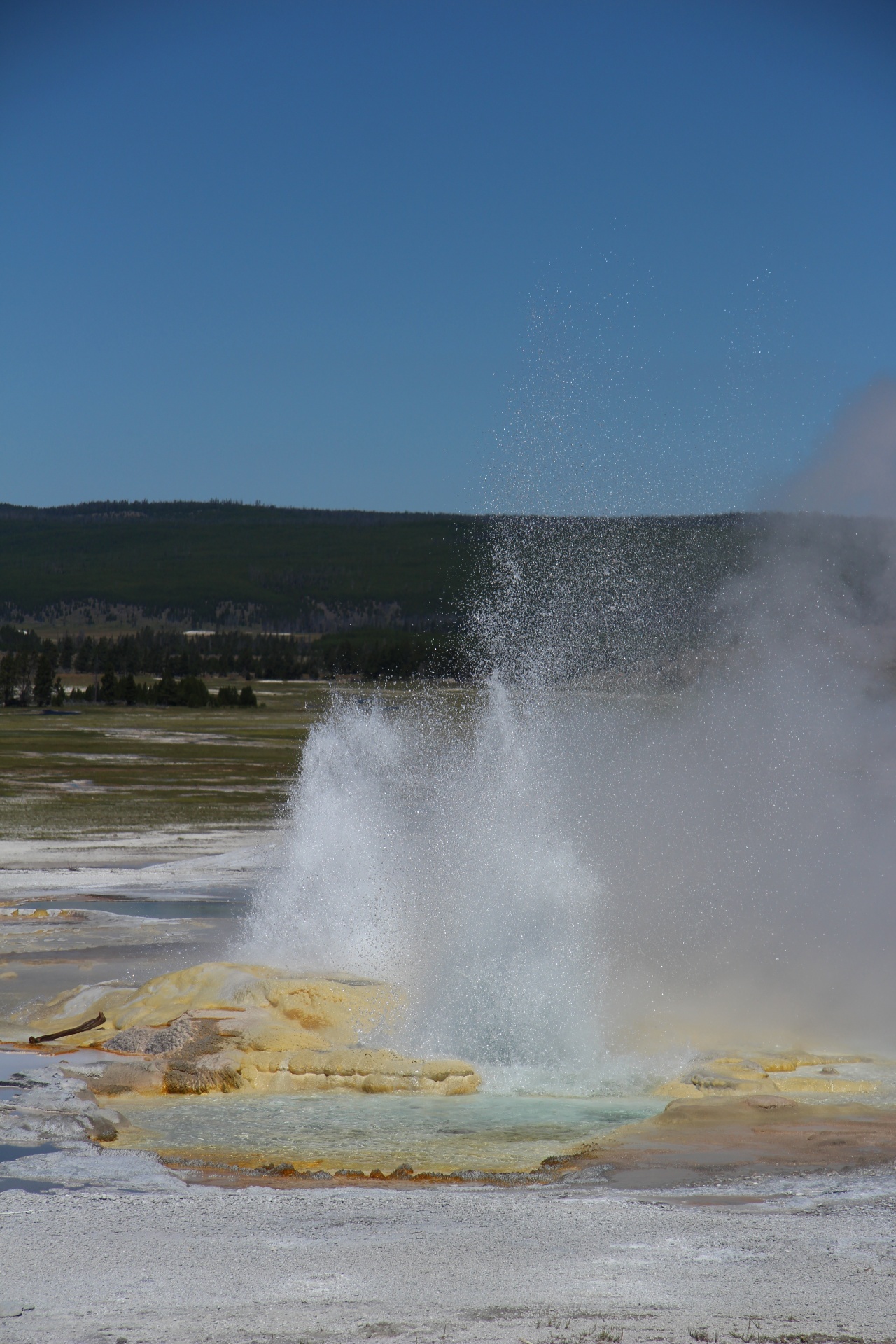 yellowstone geyser hot free photo