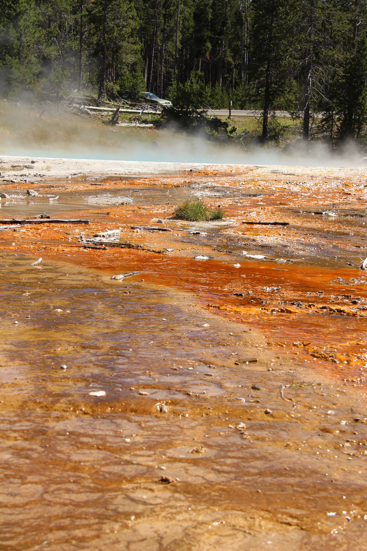 yellowstone hot springs free photo