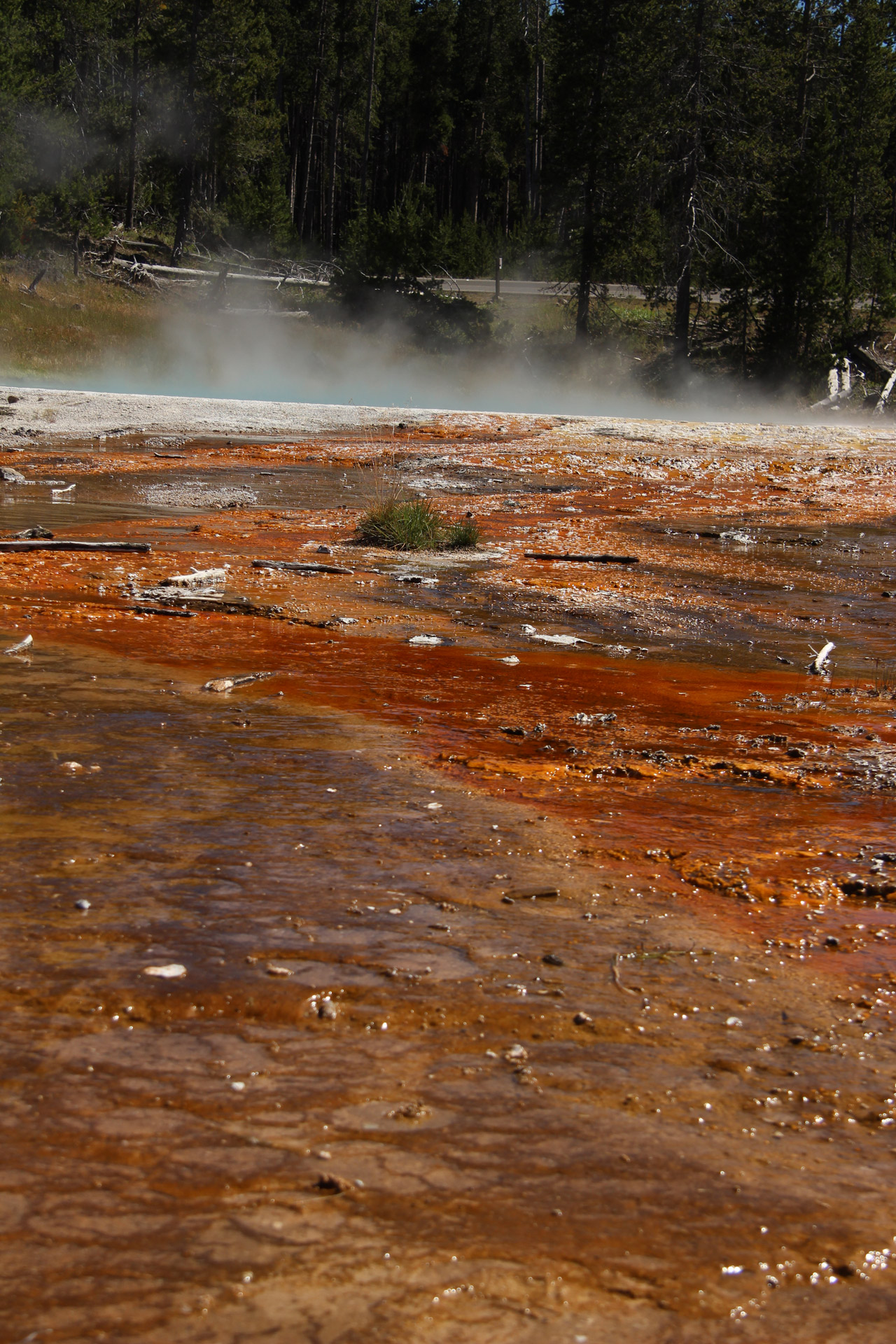 yellowstone hot springs free photo