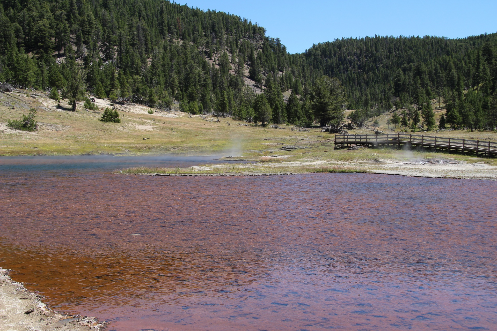 yellowstone hot springs free photo